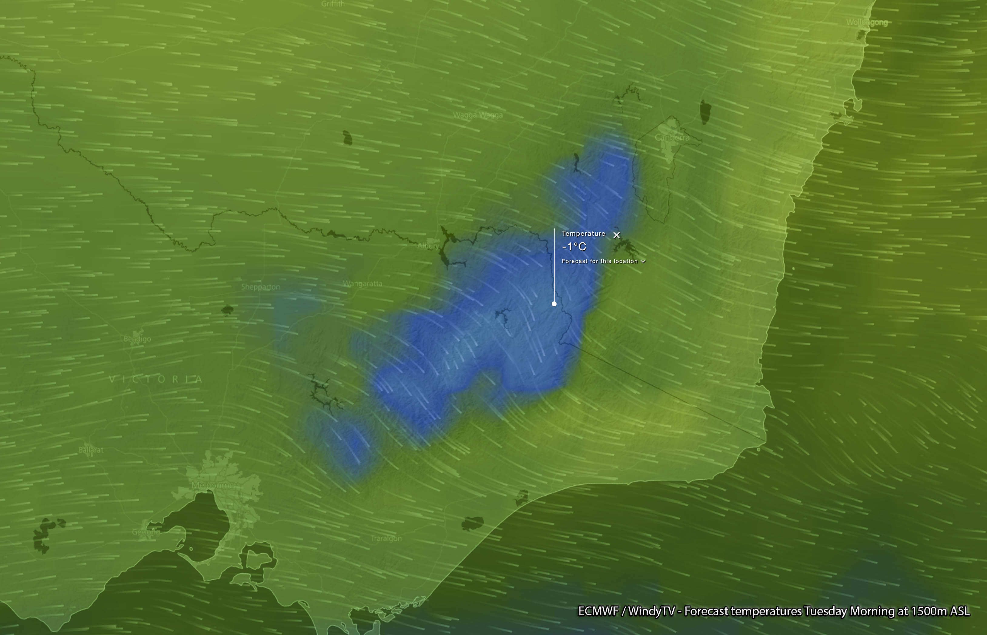 Forecast températures at 1500m ASL during Tuesday morning via WindyTV / ECMWF
