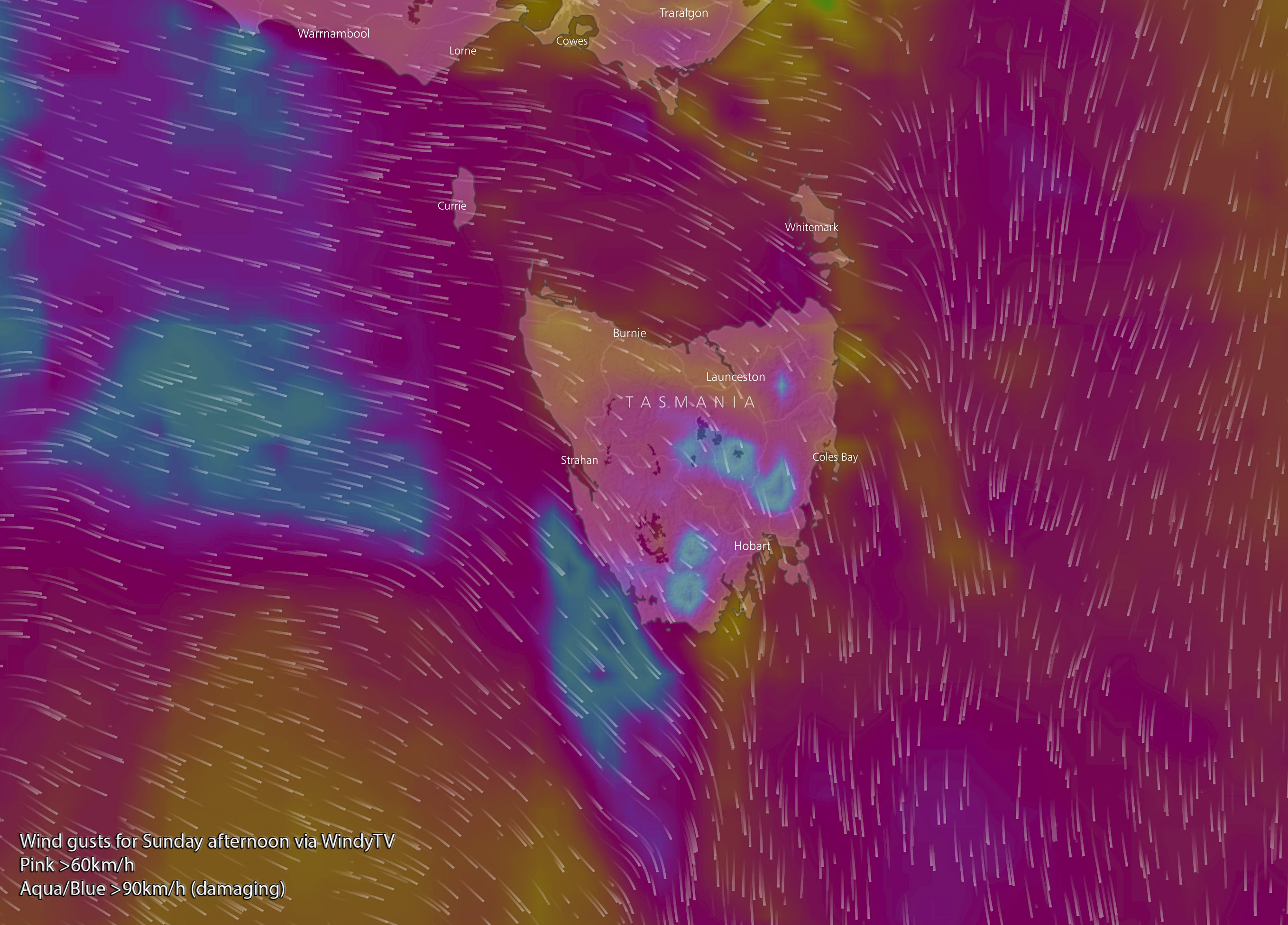 Forecast wind gusts for Sunday afternoon via WindyTV where pink is over 60km/h and aqua/blue is over 90km/h.