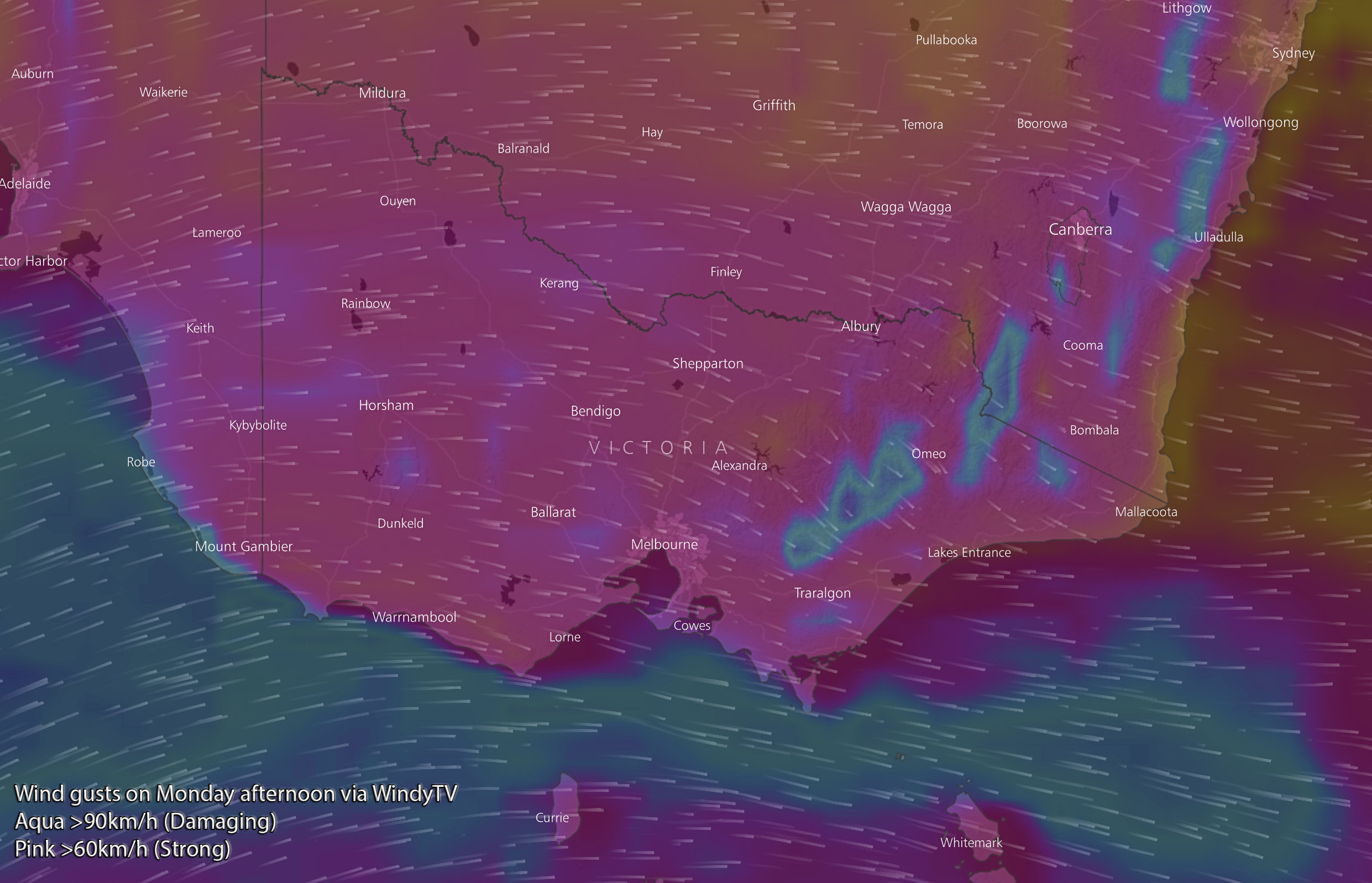 Forecast wind gusts on Monday afternoon via WindyTV. Aqua is over 90km/h, pink is over 60km/h