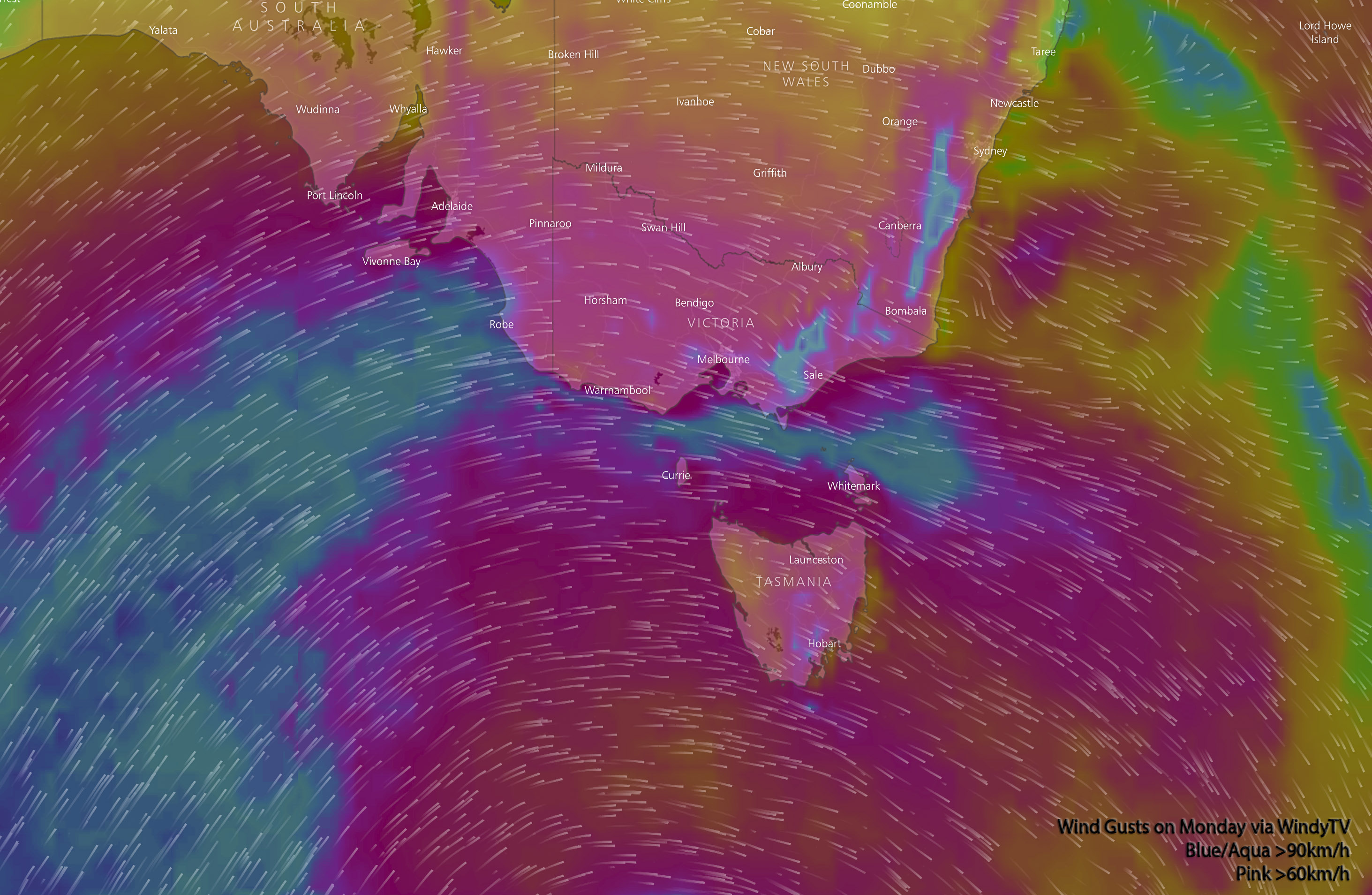 Wind gusts on Monday afternoon via WindyTV with blue/aqua over 90km/h (damaging) and pink over 60km/h.