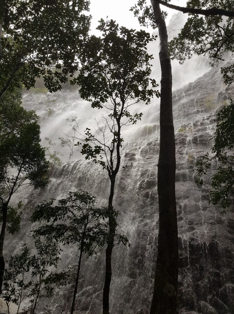 Waterfalls coming down Mt Coolum on the Sunshine Coast yesterday (Tuesday, October 17th) via Mike Wykes