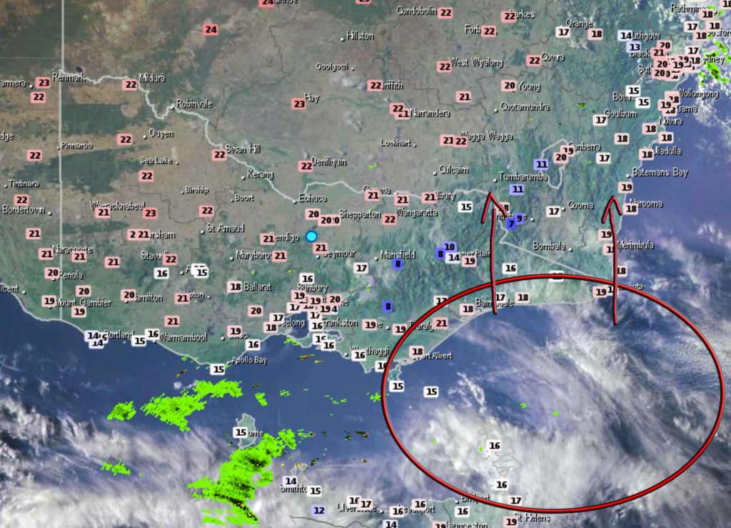 Weatherzone radar showing some light cloud moving North over the Tasman Sea, South East of VIC.