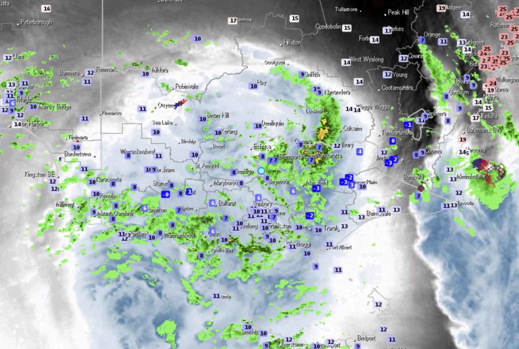 WZ VIC 330pm 10518