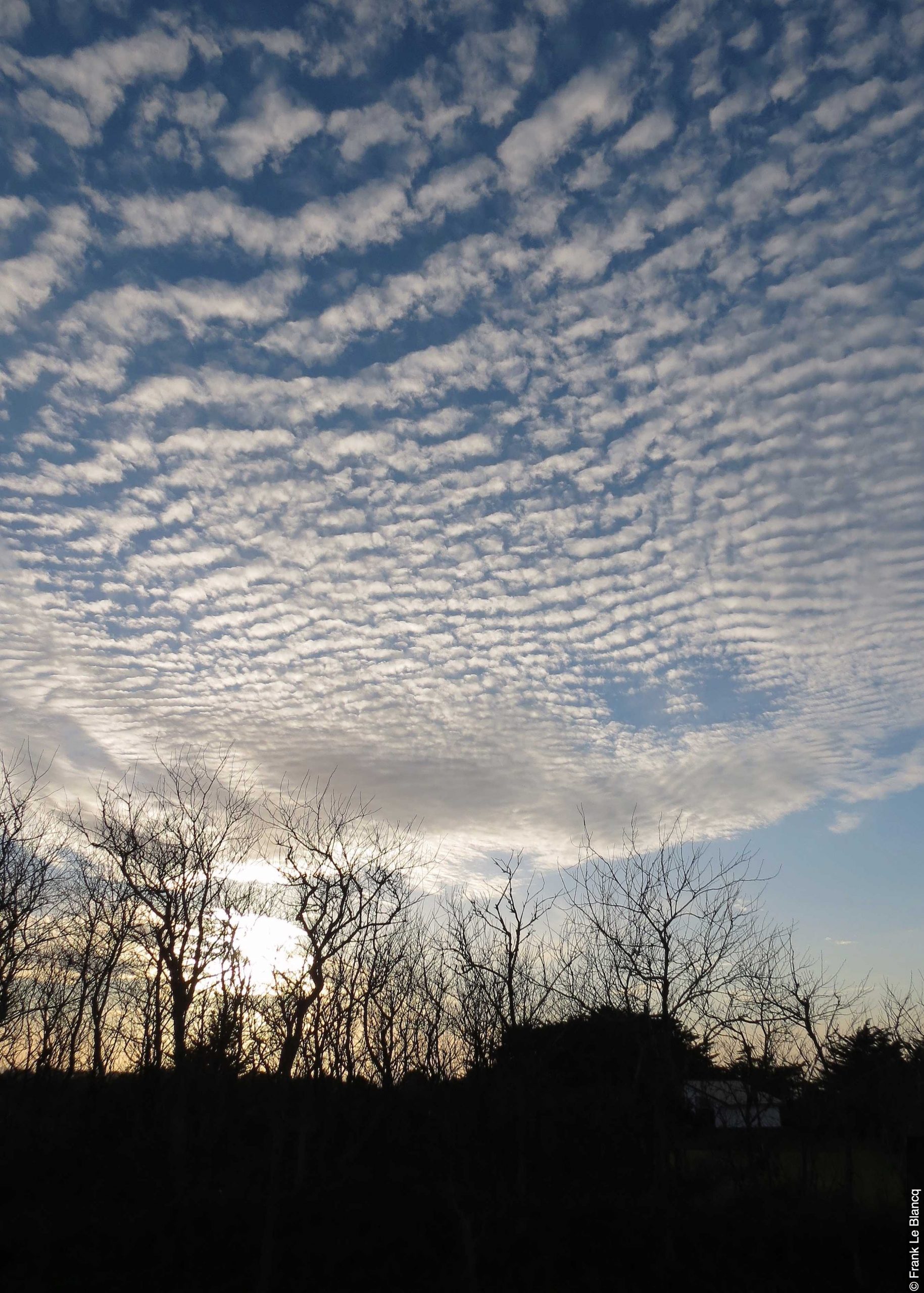 Higgins Storm Chasing Altocumulus Clouds