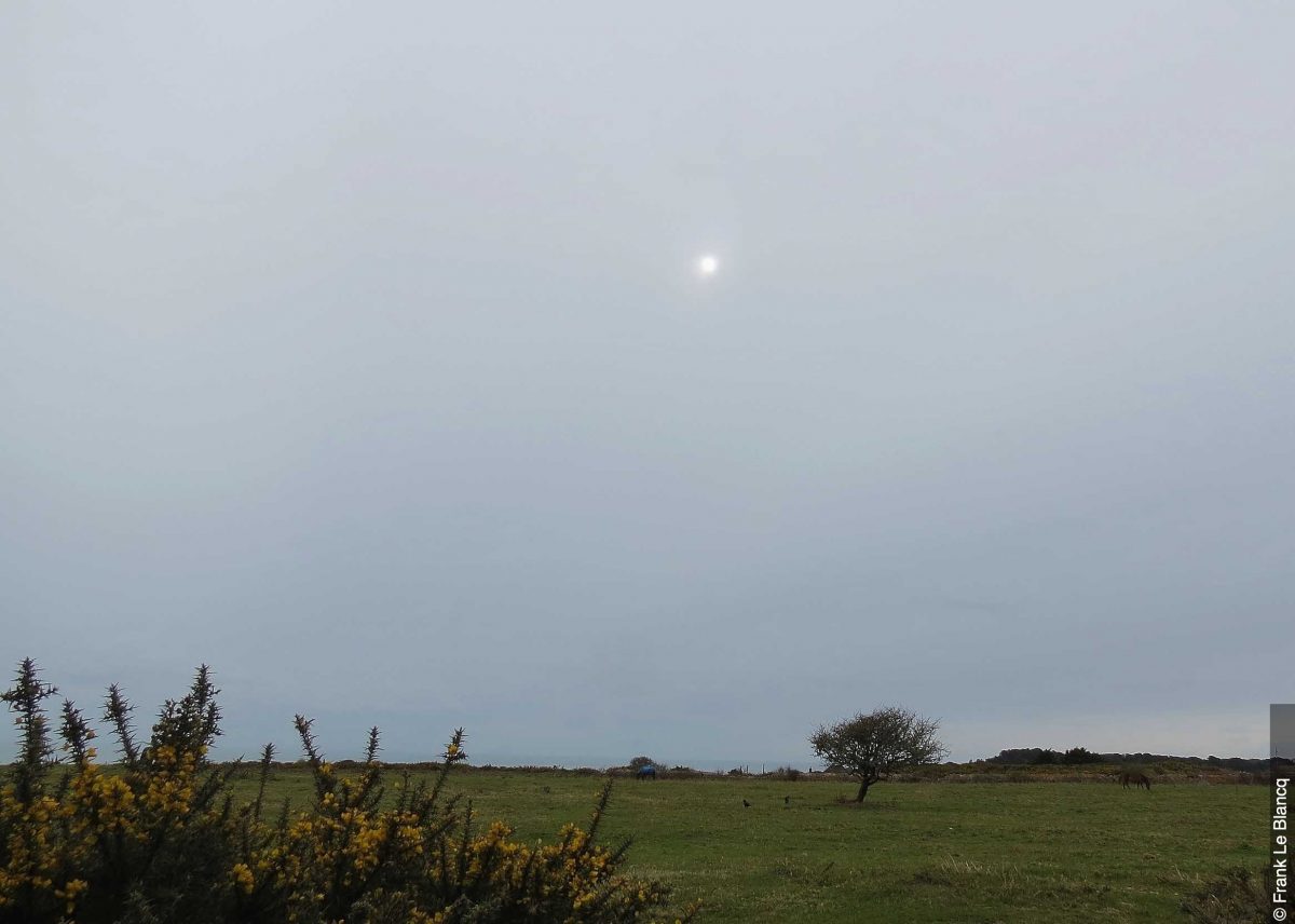 higgins-storm-chasing-what-are-altostratus-clouds